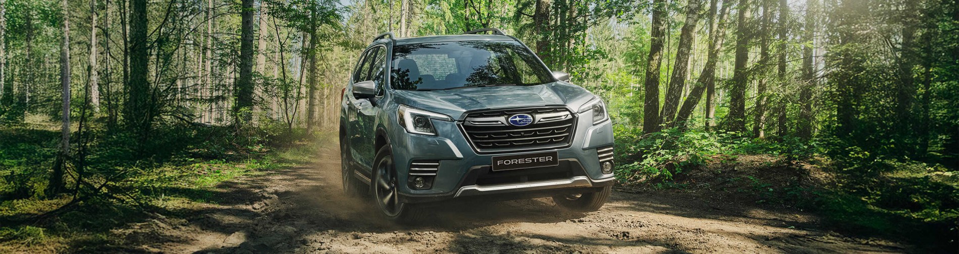 forester_nhat